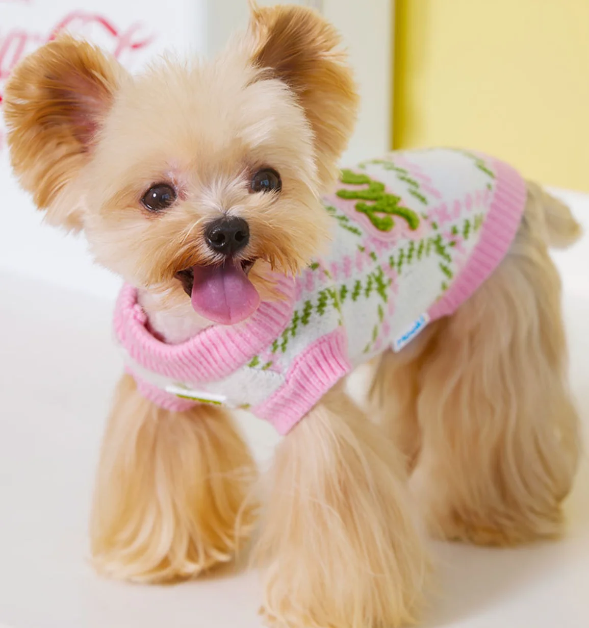 

Dog and Cat Sweater, Pet Clothes, Autumn and Winter, New