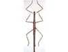 Thai Giant Mimic Bamboo Stick Insect Specimen Decoration Real Insect Display Research Photography Taxidermy 2