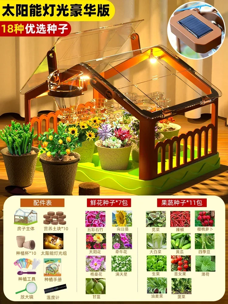 منزل زراعة أشعة الشمس للأطفال تجربة علمية صندوق مر...