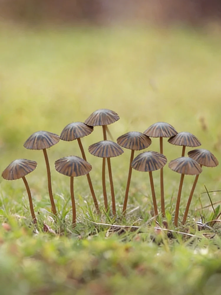 1/5/6/8/10 Stück: Retro-Pilz-Gartenstecker aus Metall, perfekt für die Frühlingsdekoration im Freien und als lustige Dekoration für Ihren Garten – Detail 6