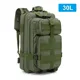 Green (30L)