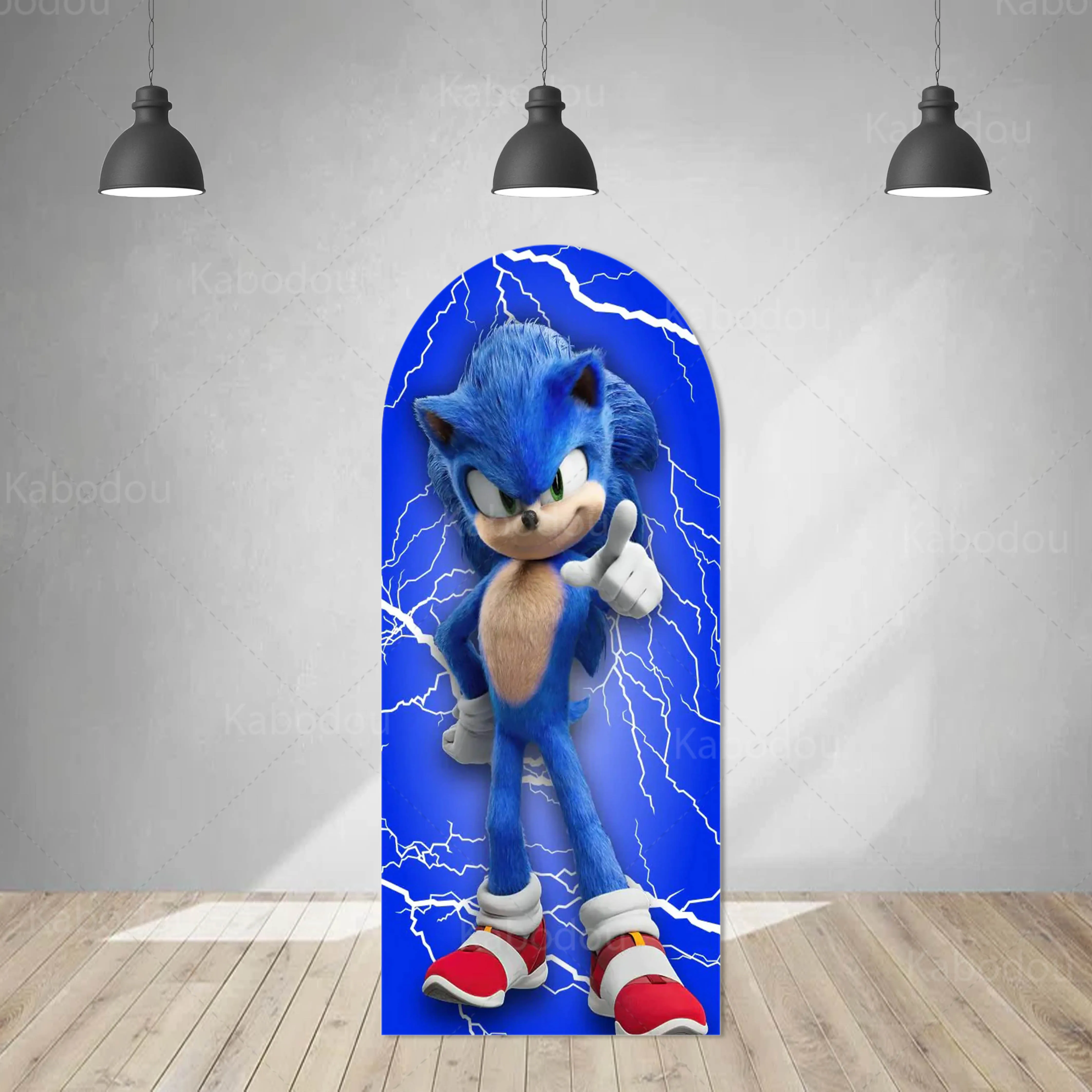thumbnail image 4 of Fondo de Sonic con arco de doble cara, decoración para fiesta de cumpleaños de niños, fondo de fotografía azul, relámpago, poliéster, utilería para estudio, 4 of 5