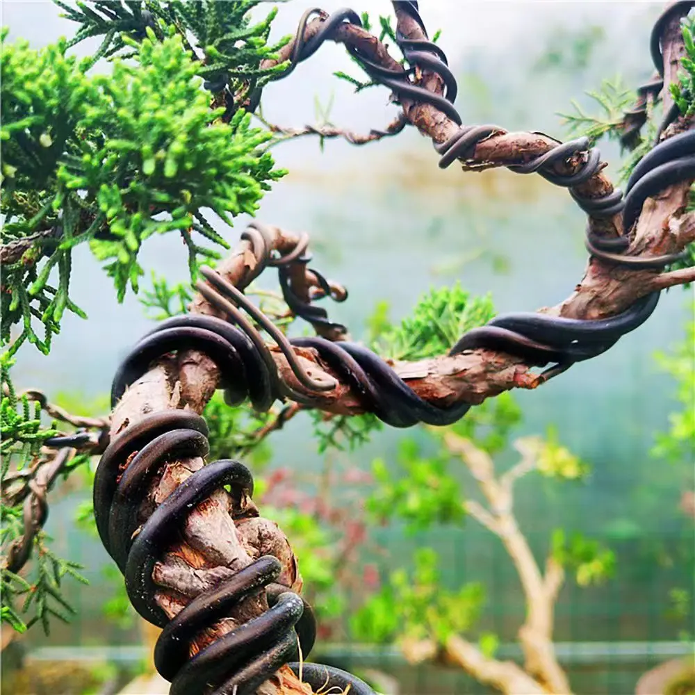 5 m Bonsai-Draht, Pflanzenunterstützung, eloxierter Aluminium-Bonsai-Trainingsdraht für Pflanzenformen, Gartenzubehör, 1/1,5/2/2,5/3,5/4 mm