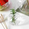 Pomegranate Glass Vase Flower Arrangement Vase Creative Vase Hydroponic Planter Vase Home Decor Plant Pot Vase Table Centerpiece 6