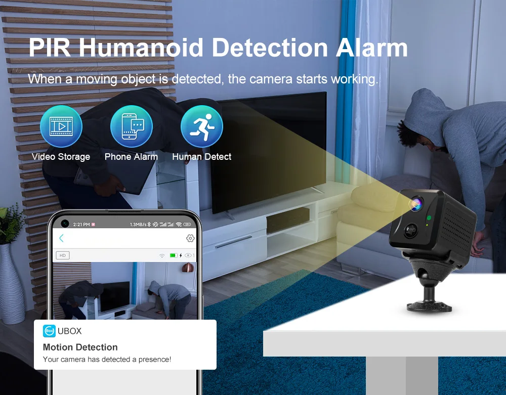 App showing remote camera access
