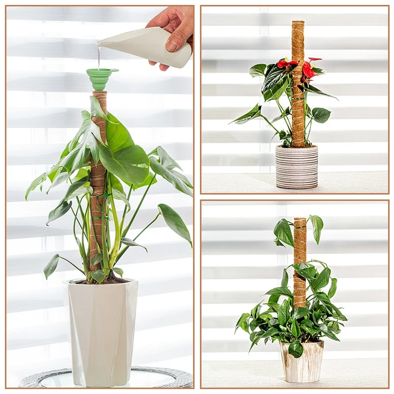 Pflanzenmoos Kokosfaser-Stäbe Biegbare Kletterpflanzen-Stütze Verlängerung Palmenranken-Stäbe für Innenbereich Balkon Garten Hof Blumendekoration – Detail 10