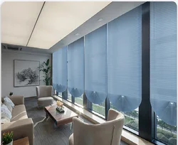 Affordable Pleated Zebra Blinds and Shades for Every Room (Blinds Light Blue)