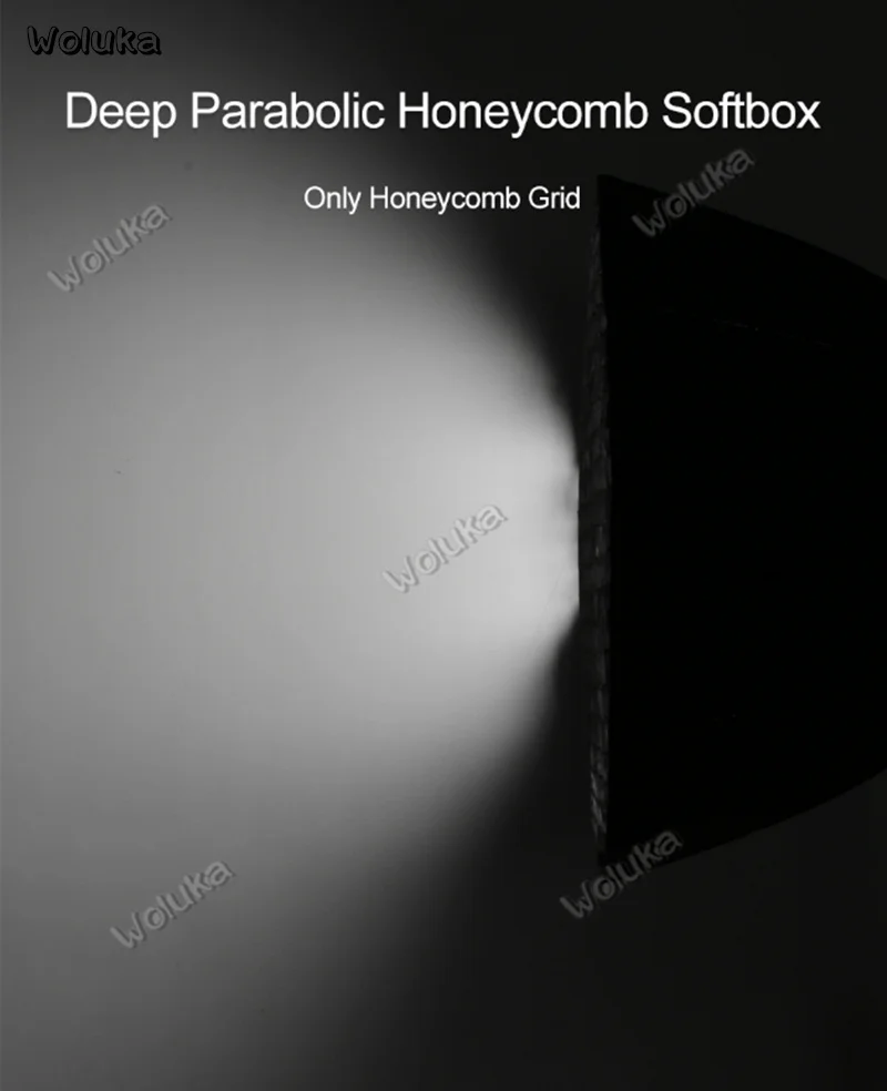 36020190226154944009