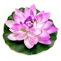 28cm purple