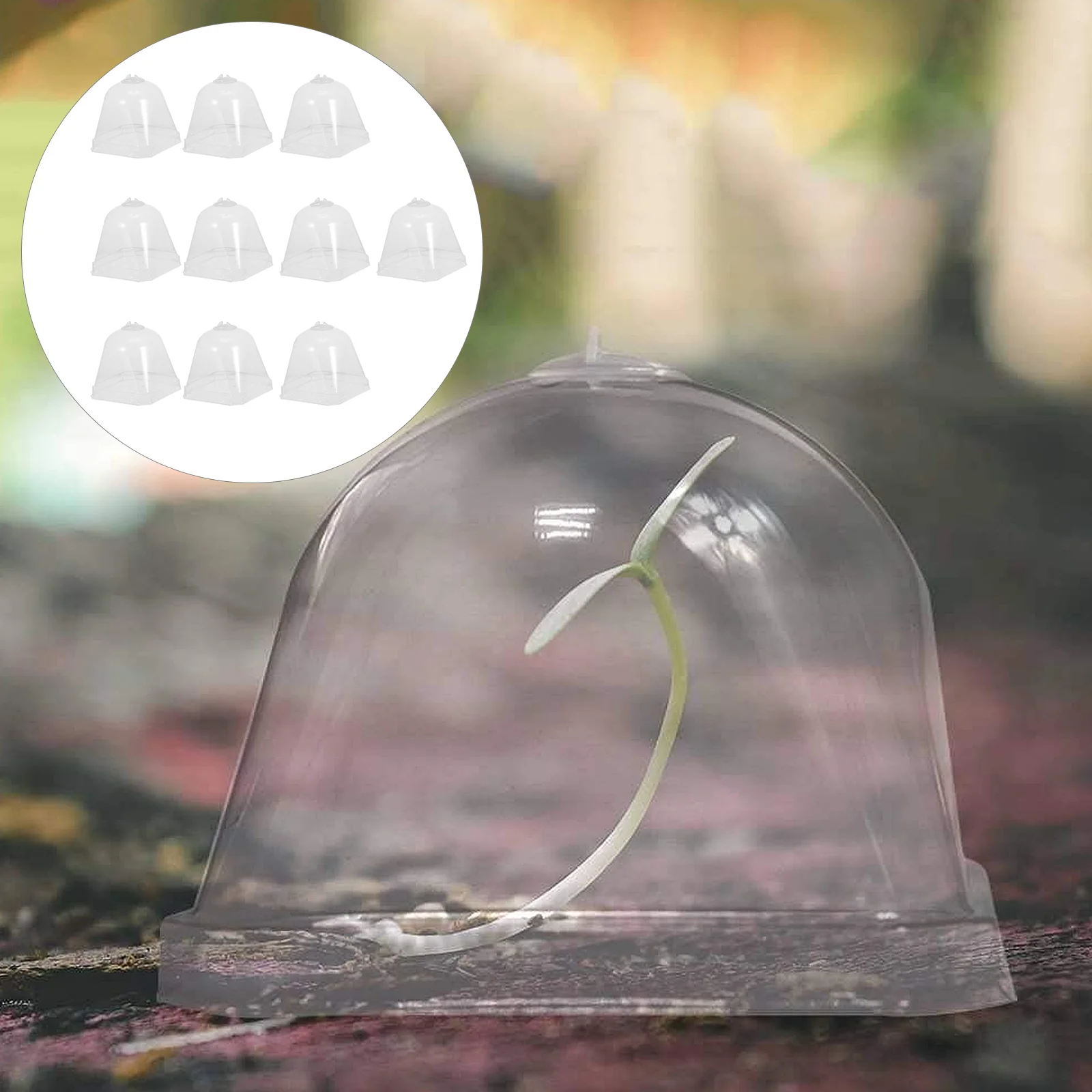 

Flower Pot Seedling Cover Plant Cloche Plastic Dome Terrarium Succulent Planters Transparent