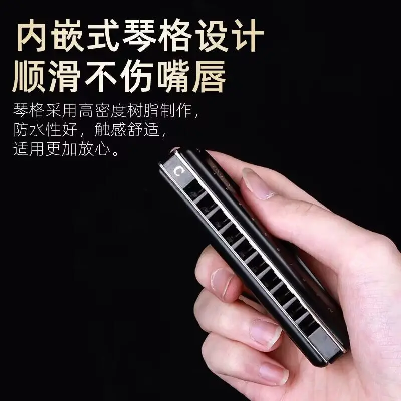 10 Holes Blues Harmonica ,Professional Harmonica Organ Musical Instruments ,Harps ,Professional Key Of C For Performanc