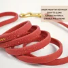 S47f0bc2d158a4a389d2af01498e72bceE.png Dog Leash 5ft, 10ft, 20ft, 30ft PVC Recall Waterproof Dog Leash Beach Swimming Training Dogs Lead for Pet, Medium and Large Dogs