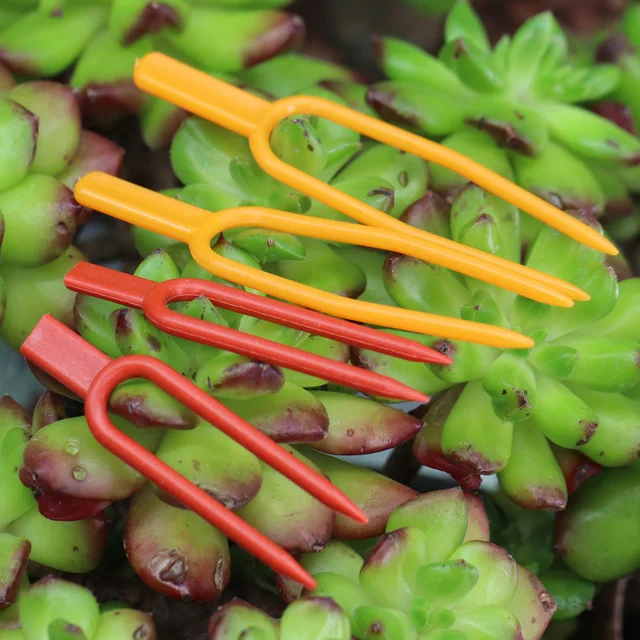 50 Darabos Növényi Szár Sztolon Fixátor 55 Mm 65 -Es Kerti Eper Ültetési Villa Görögdinnye Rögzítő Rögzítőelemek Klipgyár Tartó - Image 4