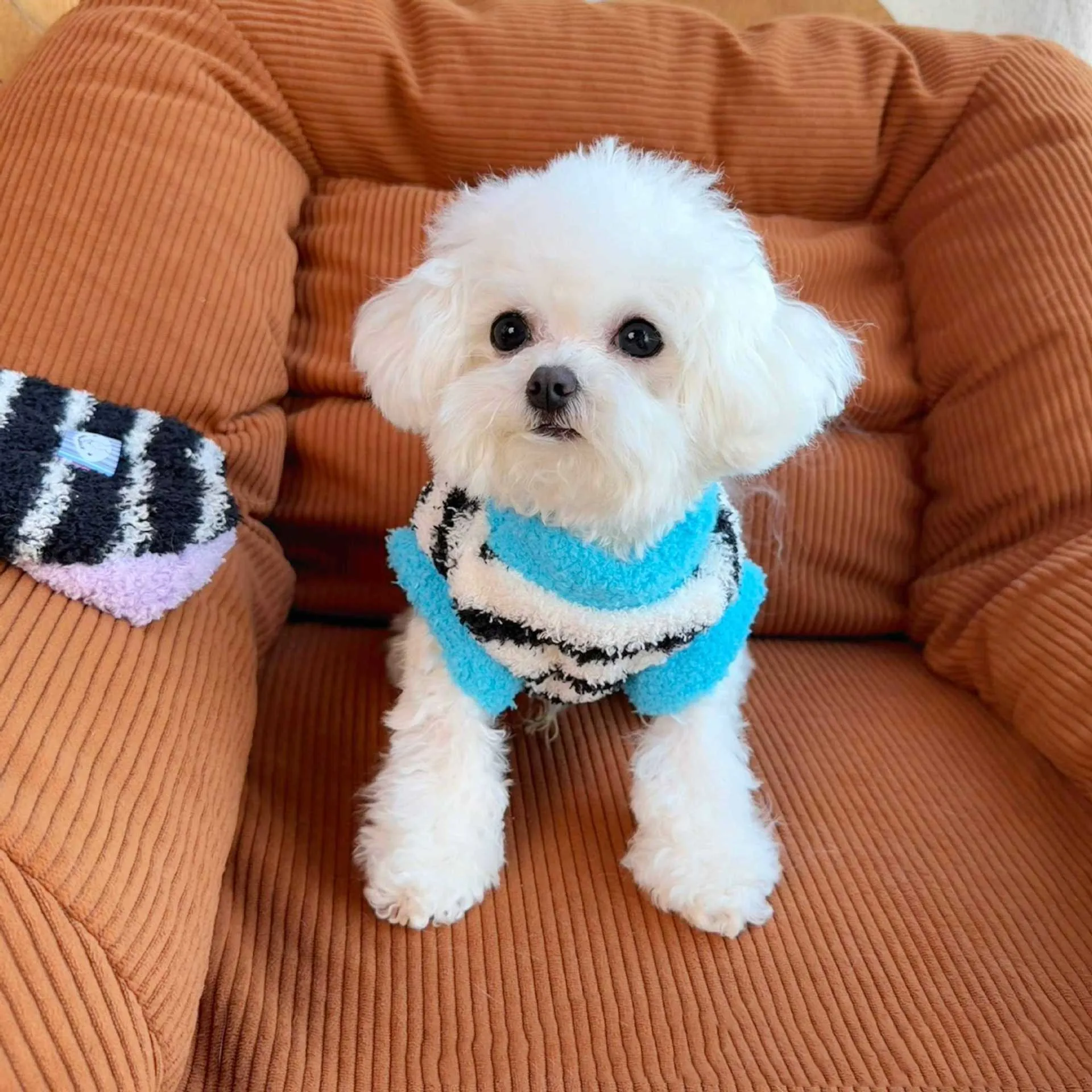 Cozy Plush Pet Vest with Stripes - Warm Fleece Dog Cat Sweater, Cute Sleeveless Outfit 2