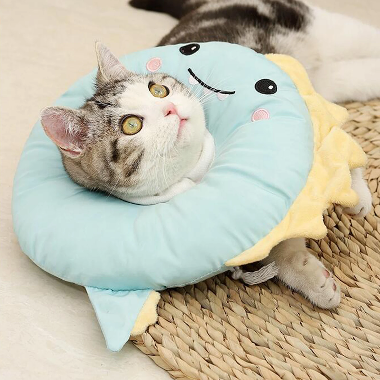 Title 5, Cat Recovery Collar Comfortable Easy to Wear Pr...