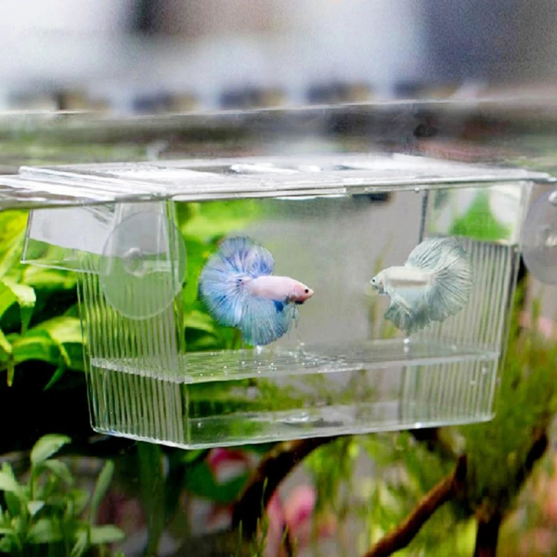 Title 2, Transparent Home Fish Breeding Breeder Box Aqua...
