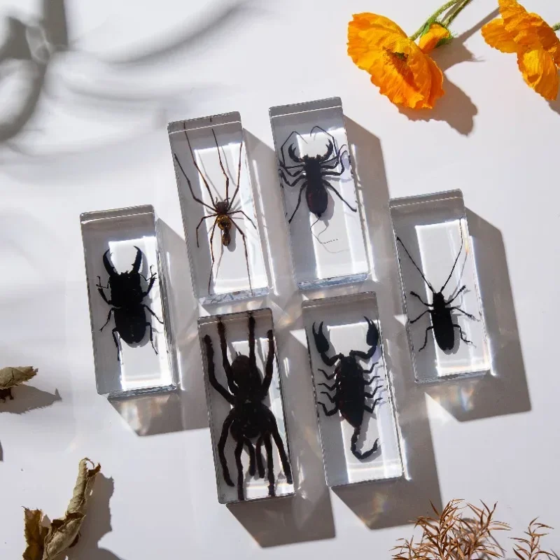 Resin Epoxy Real Bug Insect Specimen Large Tarantula Scorpion Taxidermy Clear Resin Centipede Insect Sample Bug Collection Decor resin starfish ornaments butterfly specimen