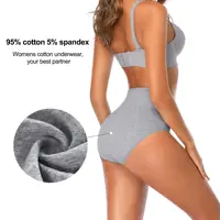 Sous-vêtements taille haute pour femmes, 4 pièces, contrôle du ventre, couverture complète, culotte en coton pour dames, slip extensible doux 3