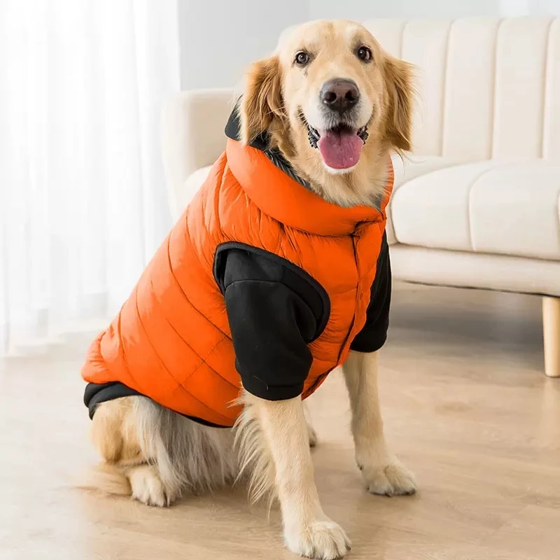 WinterBigDogClothesGoldenHairChaiDogAutumnandWinterLabrador