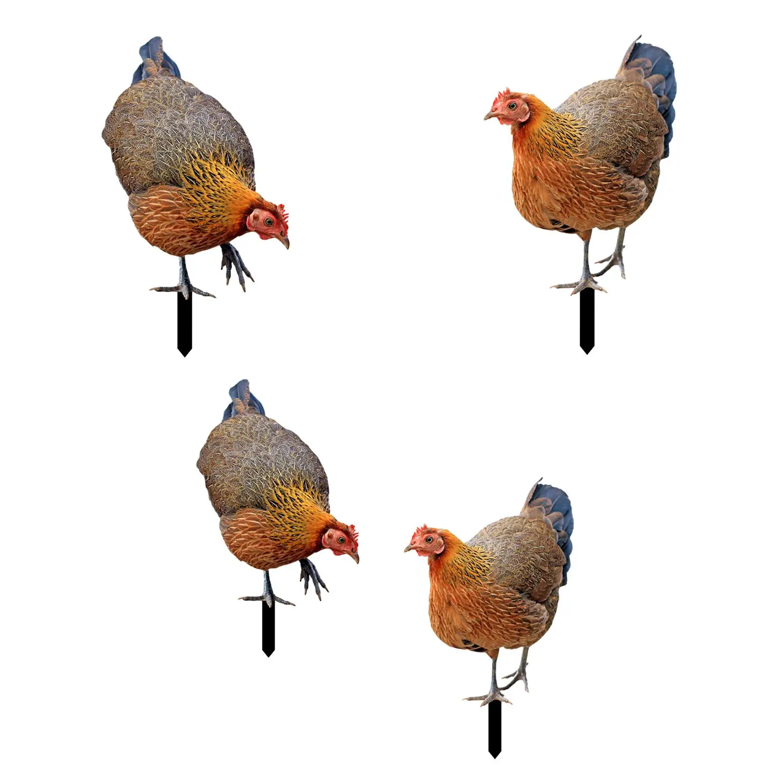 

Realistic Chicken Sculpture Hen Ornaments Figures Decorative Gift Rooster Stake for Courtyard Pathway Backyard Outdoor Lawn Yard