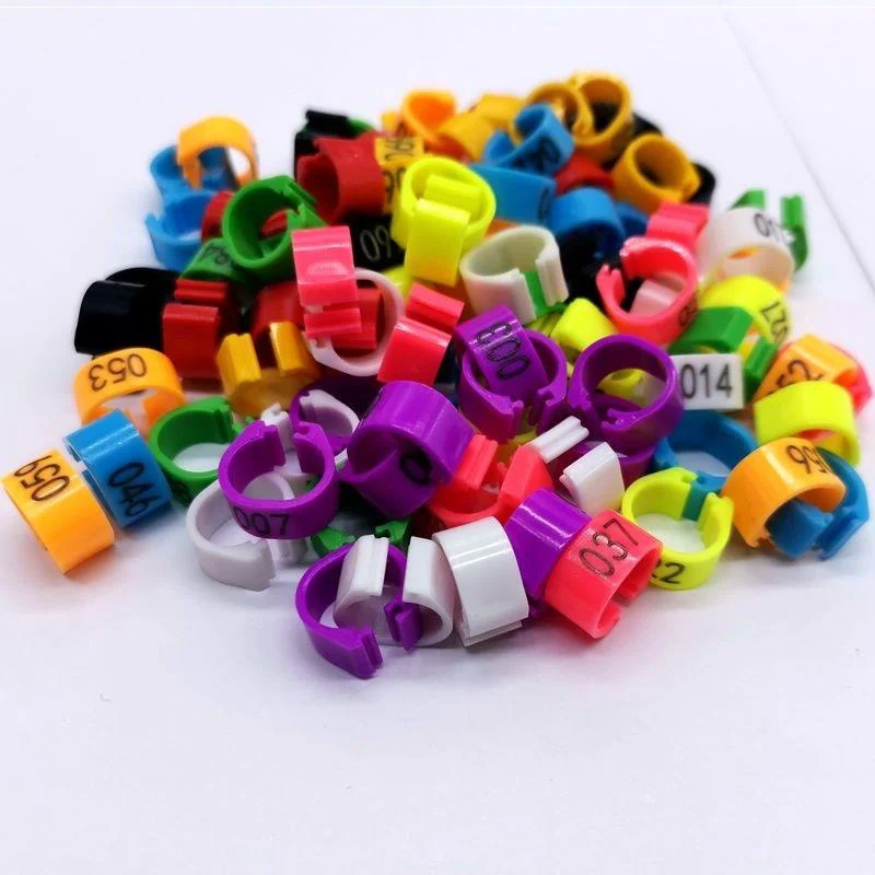 Color Mixed Chicken Leg Rings Open Type With Lettering Poultry Mark Buckle Farm Use Leg Rings Chicken Use Label Buckle 20PCS plastic poultry leg clips