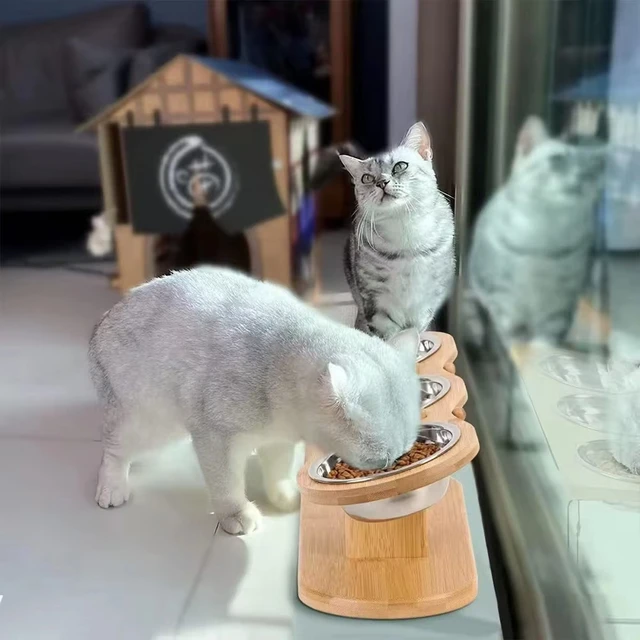 3 elevated cat bowls tilted anti-vomiting iron bowl elevated cat food bowl for food and water all wooden food grade stand 6