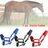 Soft Padded Pony Horse Halter Bridle Headstall Head Collar Horse Riding Stable Horse Bridle Headstall Accessories Western 3