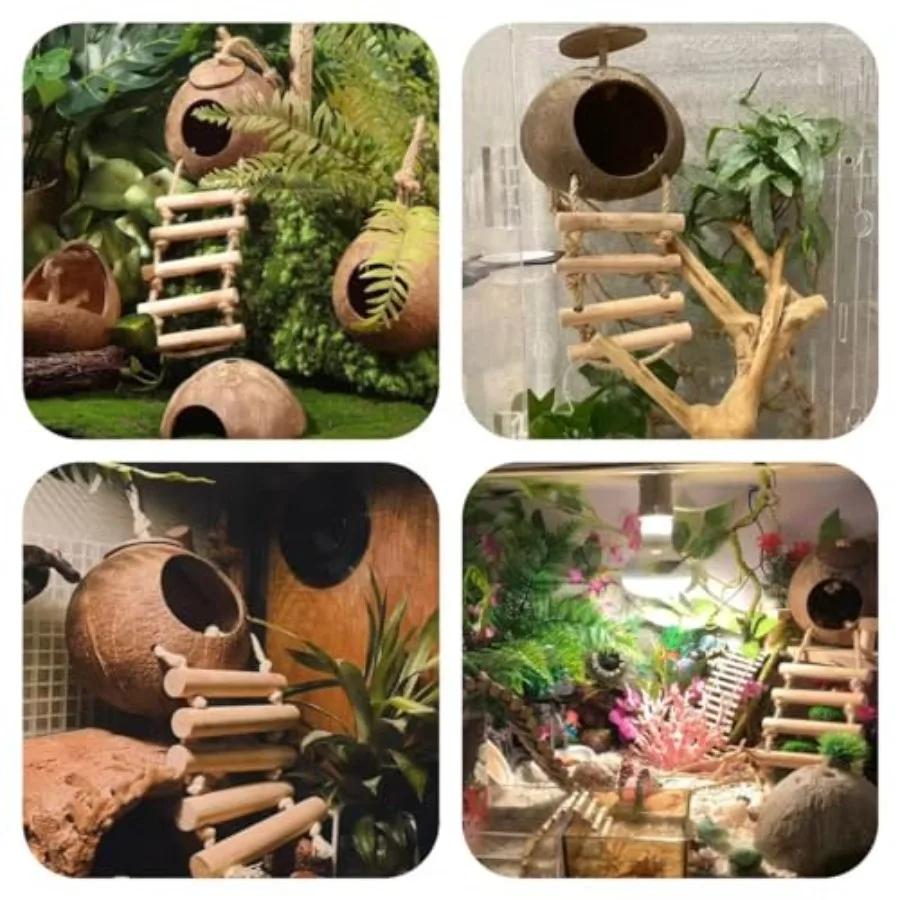 Crested Gecko Tank Set 6