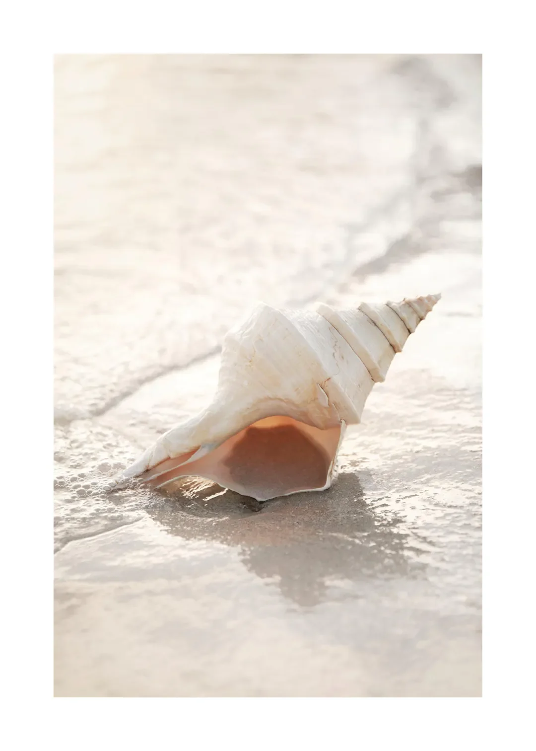 Tropical Blue Sea and White Sand Beach Canvas Wall Art
