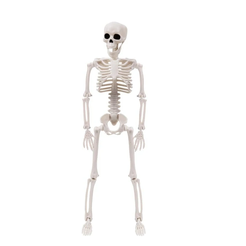 ҷ ذ ,   ִ , öƽ ذ,  ذ, , 1 