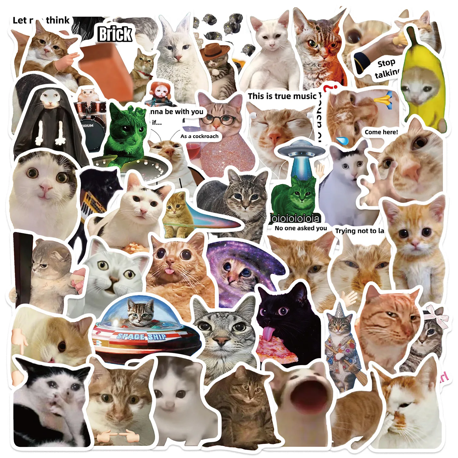 10/50 stücke Nette Lustige Katze MEME Tiere Graffiti Aufkleber Telefon Gitarre Laptop Notebook Koffer Tasse Wasserdichte Aufkleber Kinder Spielzeug