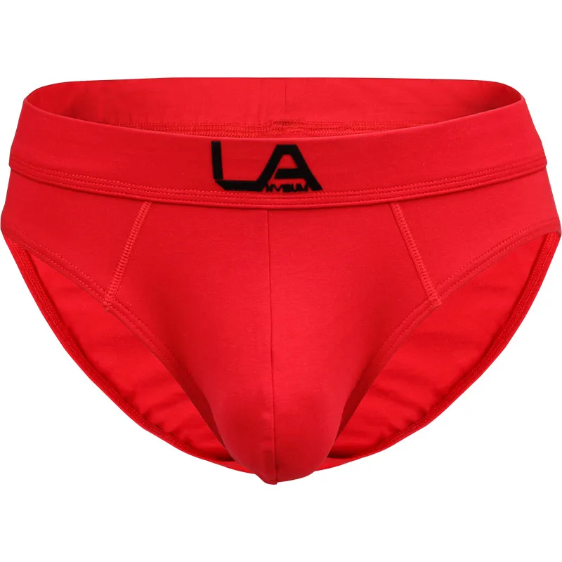 Mens Sexy Underwear Briefs Sexy Slip For Men Slip Homme Gays Calzoncillos Hombre трусы мужские плавки 4