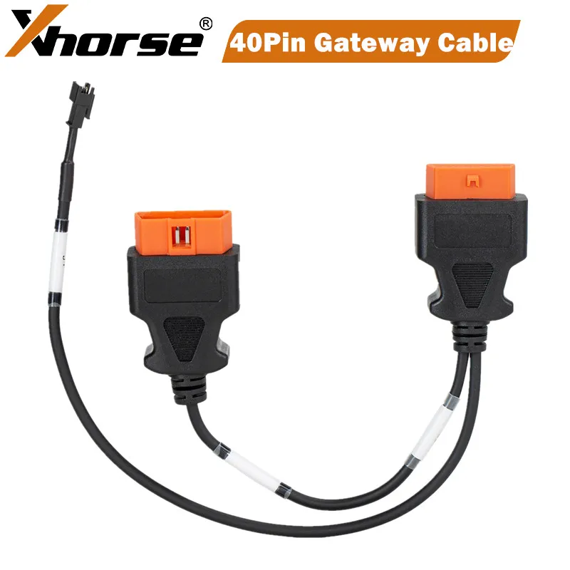 Y☆K  $_57.JPG?set_id=8800005007