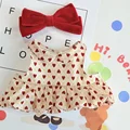 For 38cm Labubu 4