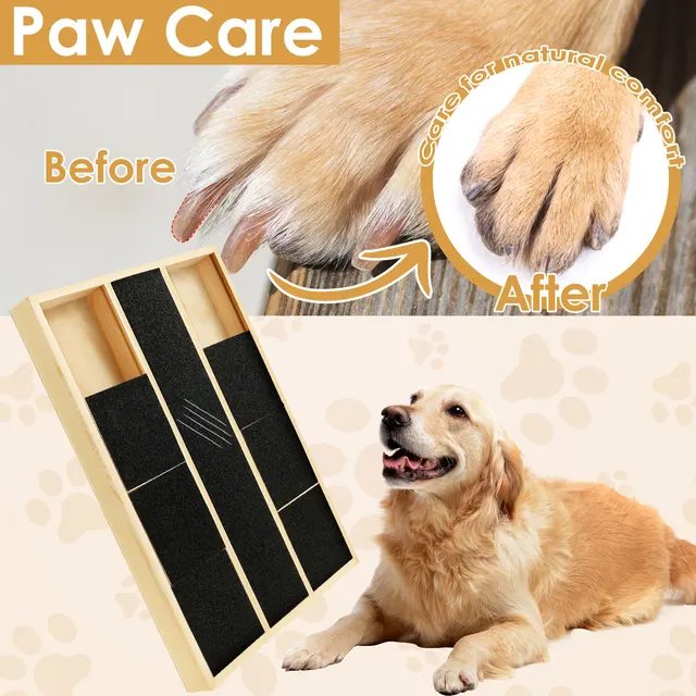 Dog Nail Scratch Pad Stable Nonslip Dog Nail File Board with Replacement Black Sandpaper Dog Toy Built in Snack Box Pet Supplies 4