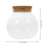 Glass Micro-landscape Ecological Bottle Moss Plant Vase Hydroponic Fish Tank Ornaments Betta (cork (10*11cm) Flower Pot Air 6