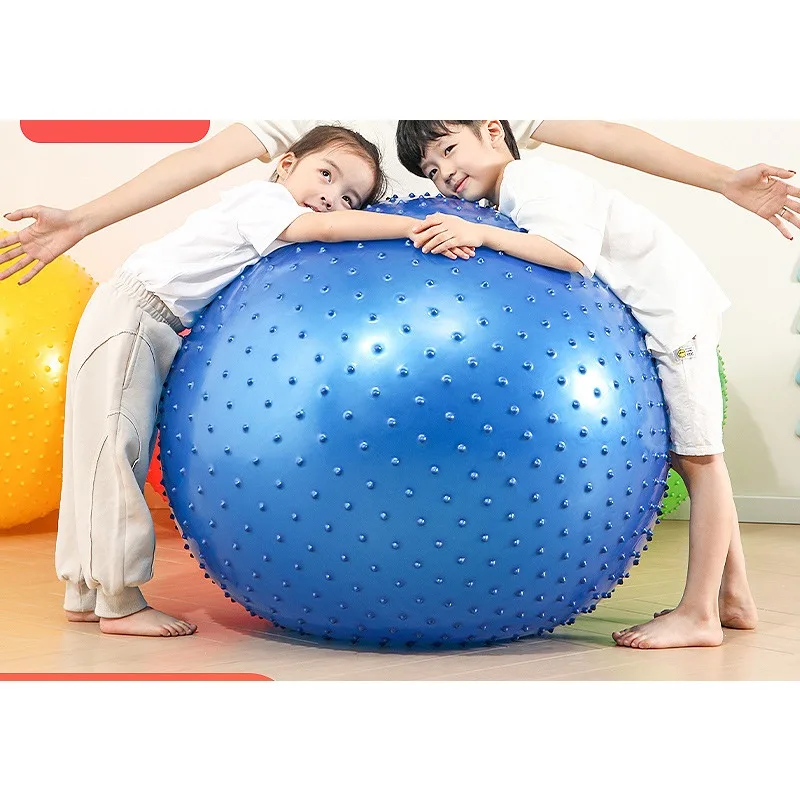 Yoga Ball 55cm Exercise Gymnastic Fitness Pilates Balance Training