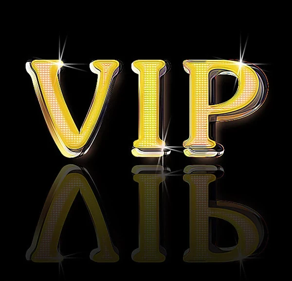 

VIP make up price link