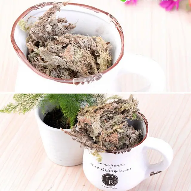 A Sphagnum Moha Kert Hidratáló Táplálék Szerves Műtrágya Phalaenopsis Orchidea Spagnum - Image 4