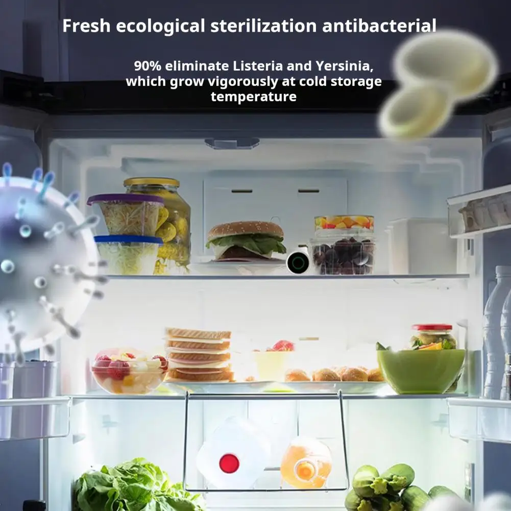 Portable Fridge Deodorizer Automatic Refrigerator Purifier Portable Mini Fridge Deodorizer with Usb for Refrigerators for Small