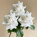 3PCS - White