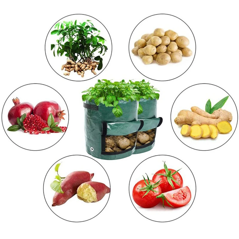 Fabric Plant Pots Grow Bags 3/5/7/10 Gallon Breathable Plant Bag Gardening  Tomato Strawberry Growing Planter Potato Planting Pot - AliExpress