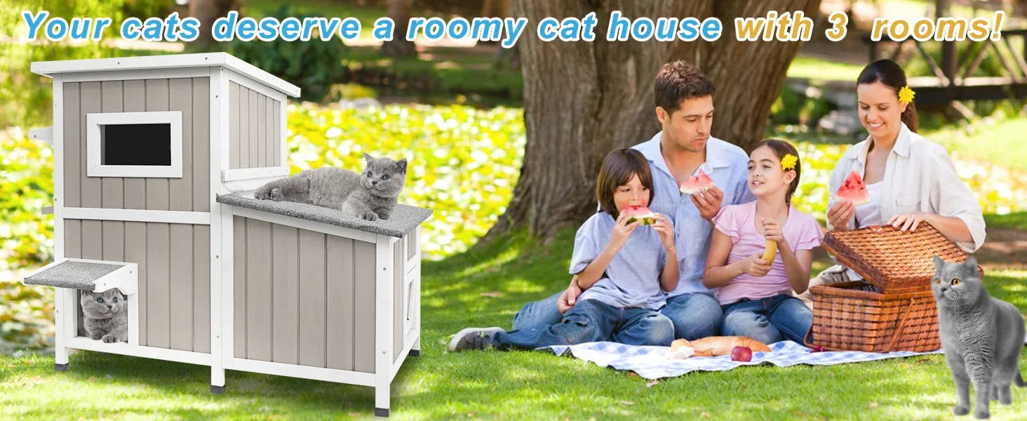 outdoor cat house