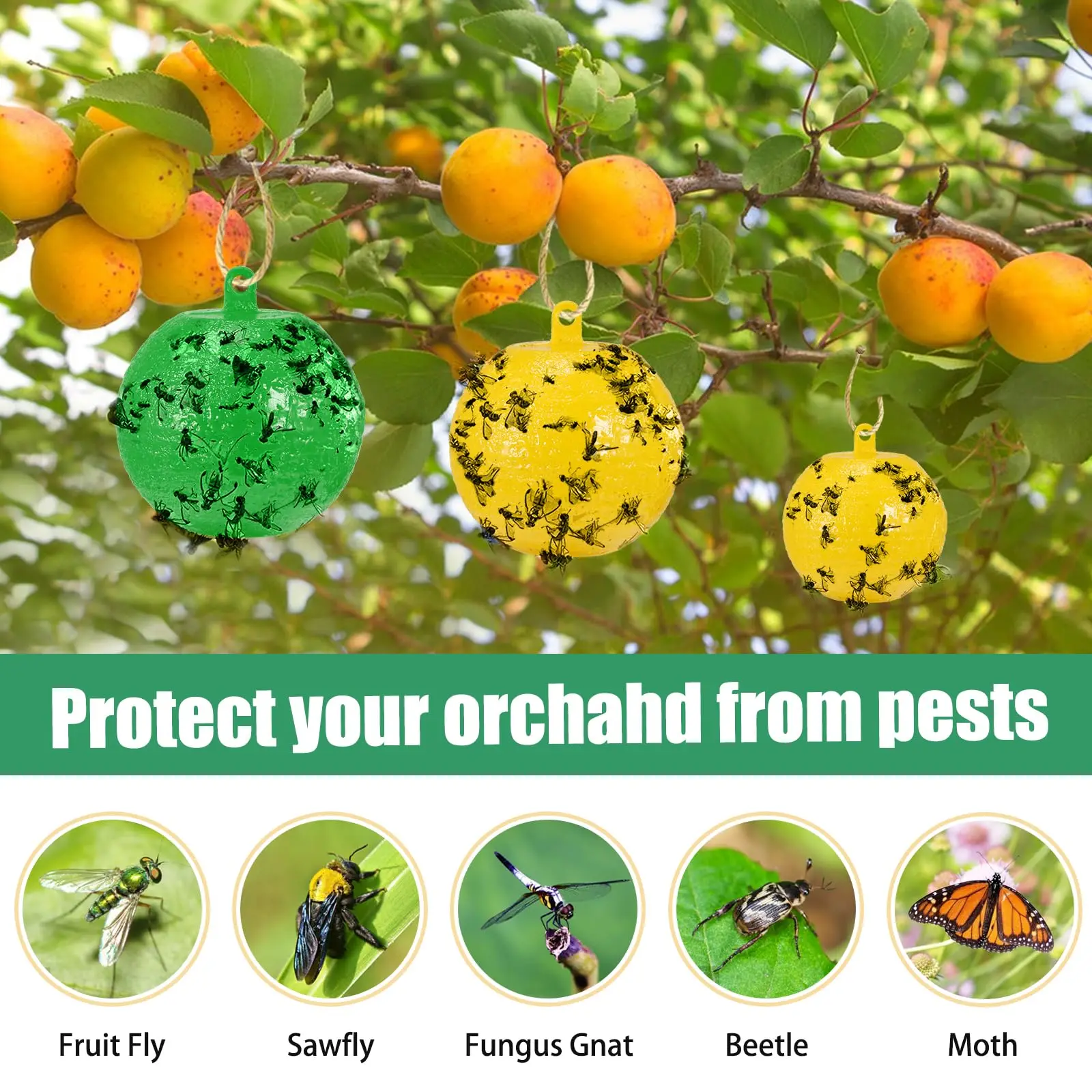 8cm Hanging Ball Fruit Fly Traps for Indoor Outdoor