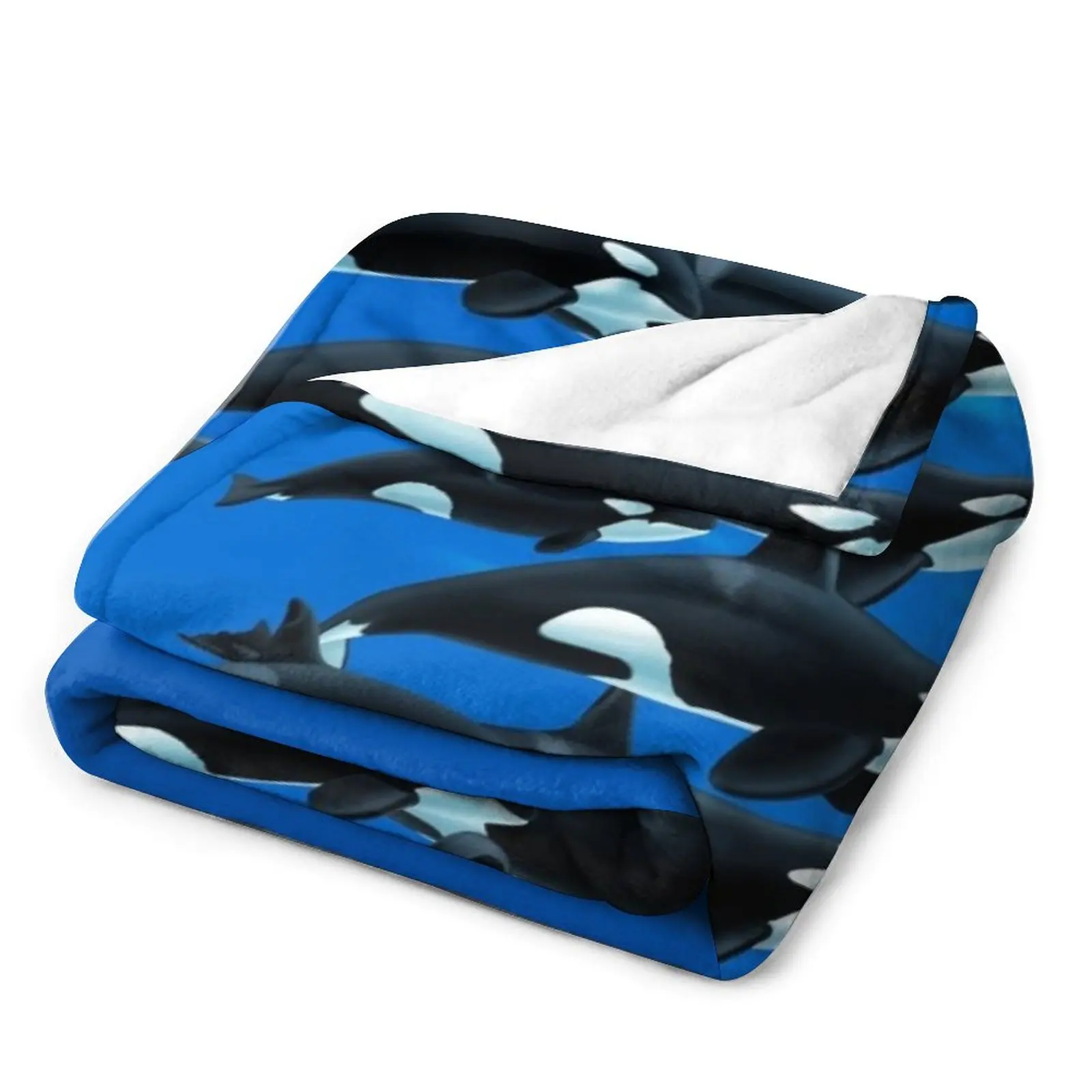 Ķ�����Ͼ� ����ī�� 2020 ������ ���, ���Ŀ� ���� ���, ���� ���