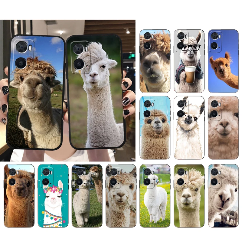 

Alpaca Llamas Phone Case For OPPO Realme 10 Pro Plus GT 2 Pro X2 Pro XT C25S 8 7 6 Pro 6i GT Master C3 C21 C21Y X3 SuperZoom