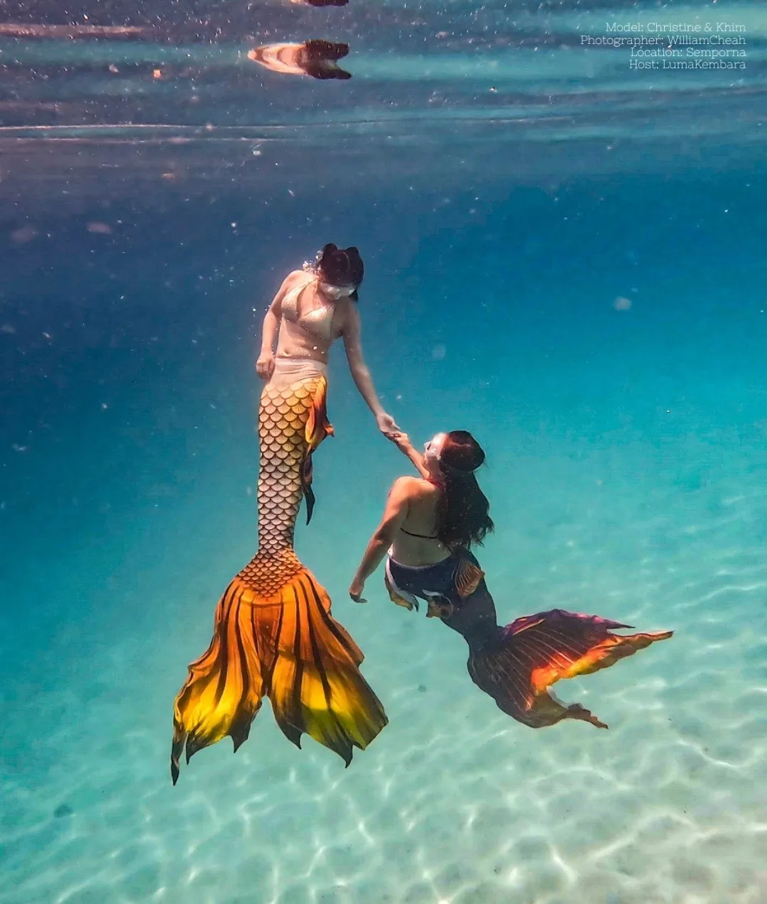 Профессиональный Тренер русалки для аквариума, большой хвост, может сочетаться с ластами большого размера