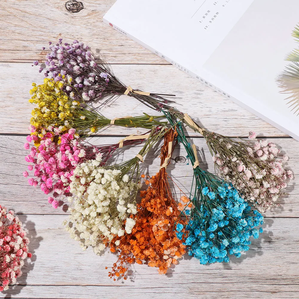 Small Natural Dried Flowers Bouquet Dry Flowers Natural Dried Bouquets