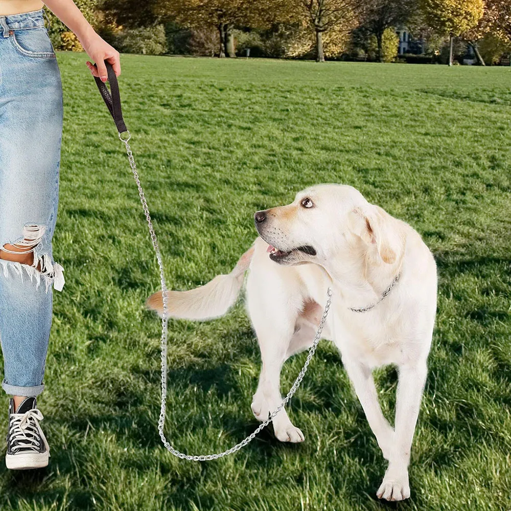 Correa Para Perros Grandes A Prueba De Mordidas, Con Cadena Metálica Y Mango Acolchado, Ideal Para Paseos Y Entrenamiento | Color Azul 3.0, 4 Pies De Largo