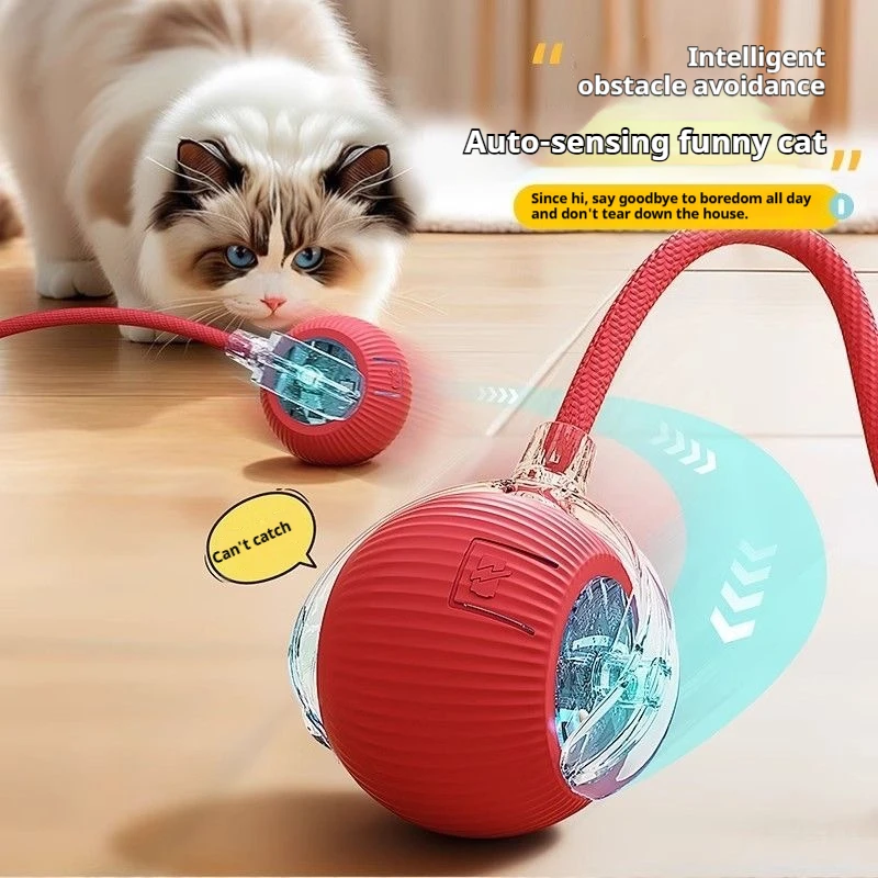 Automatic Rolling Pet Ball 3